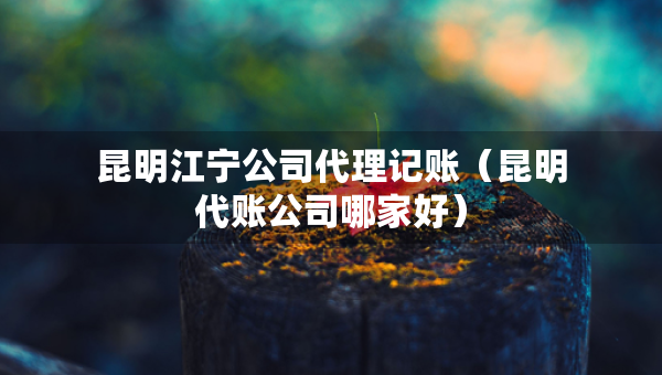 昆明江寧公司代理記賬（昆明代賬公司哪家好）