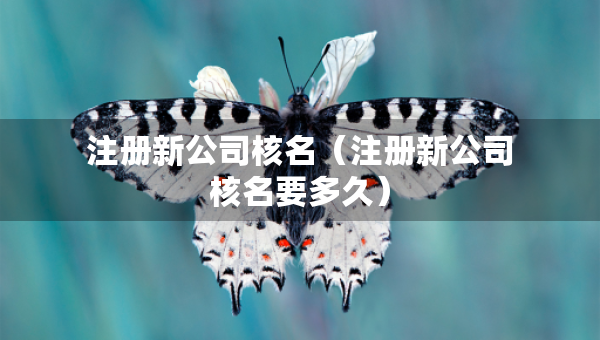 注冊新公司核名（注冊新公司核名要多久）