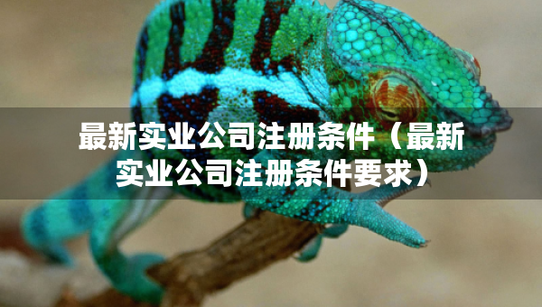最新實(shí)業(yè)公司注冊(cè)條件（最新實(shí)業(yè)公司注冊(cè)條件要求）
