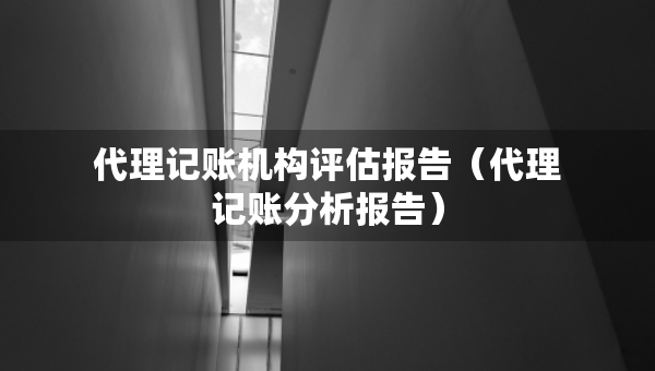 代理記賬機(jī)構(gòu)評(píng)估報(bào)告（代理記賬分析報(bào)告）
