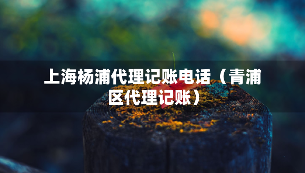 上海楊浦代理記賬電話（青浦區(qū)代理記賬）