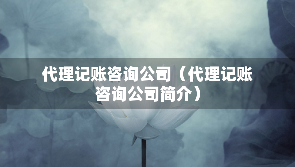 代理記賬咨詢公司（代理記賬咨詢公司簡(jiǎn)介）