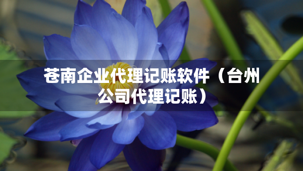 蒼南企業(yè)代理記賬軟件（臺州公司代理記賬）