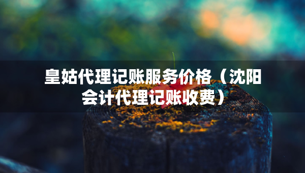 皇姑代理記賬服務(wù)價格（沈陽會計代理記賬收費）