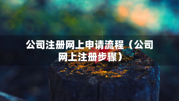 公司注冊網(wǎng)上申請流程（公司網(wǎng)上注冊步驟）