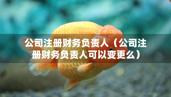 公司注冊財(cái)務(wù)負(fù)責(zé)人（公司注冊財(cái)務(wù)負(fù)責(zé)人可以變更么）