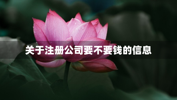 關(guān)于注冊公司要不要錢的信息
