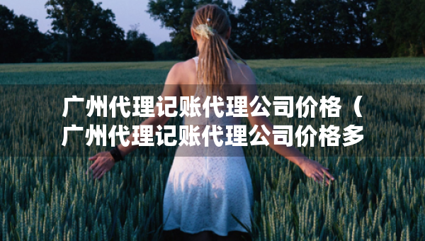 廣州代理記賬代理公司價格（廣州代理記賬代理公司價格多少）