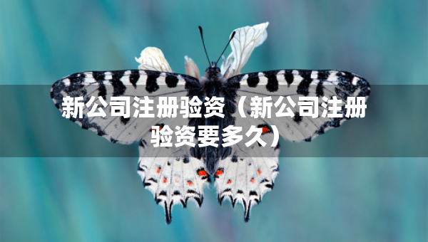 新公司注冊(cè)驗(yàn)資（新公司注冊(cè)驗(yàn)資要多久）