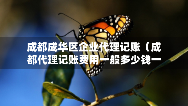 成都成華區(qū)企業(yè)代理記賬（成都代理記賬費(fèi)用一般多少錢一個(gè)月）