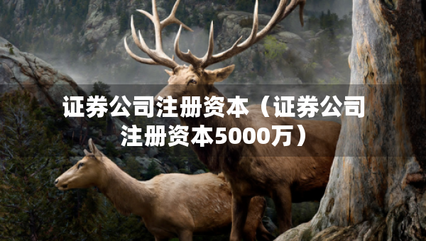 證券公司注冊資本（證券公司注冊資本5000萬）
