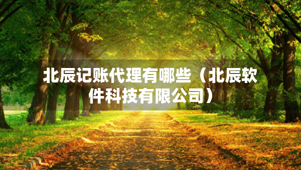 北辰記賬代理有哪些（北辰軟件科技有限公司）