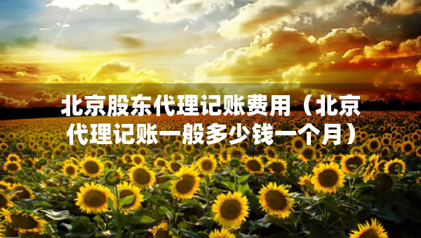 北京股東代理記賬費(fèi)用（北京代理記賬一般多少錢(qián)一個(gè)月）