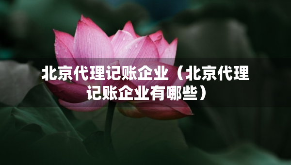 北京代理記賬企業(yè)（北京代理記賬企業(yè)有哪些）
