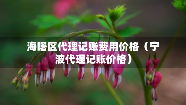 海曙區(qū)代理記賬費(fèi)用價(jià)格（寧波代理記賬價(jià)格）