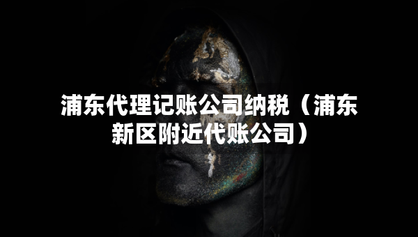 浦東代理記賬公司納稅（浦東新區(qū)附近代賬公司）