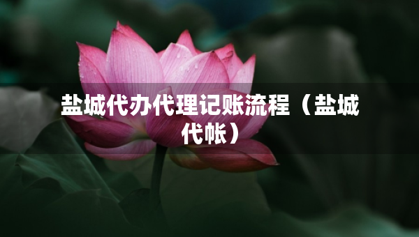 鹽城代辦代理記賬流程（鹽城代帳）
