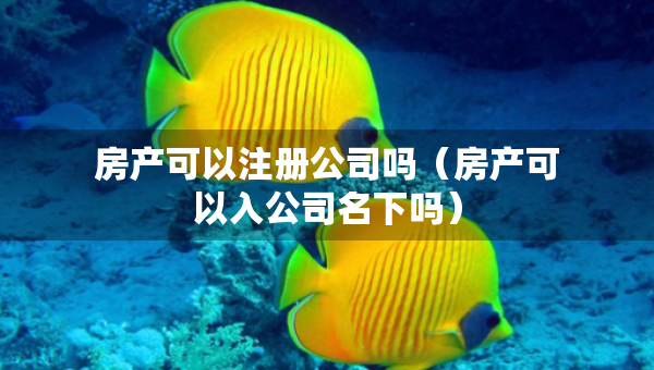 房產(chǎn)可以注冊(cè)公司嗎（房產(chǎn)可以入公司名下嗎）
