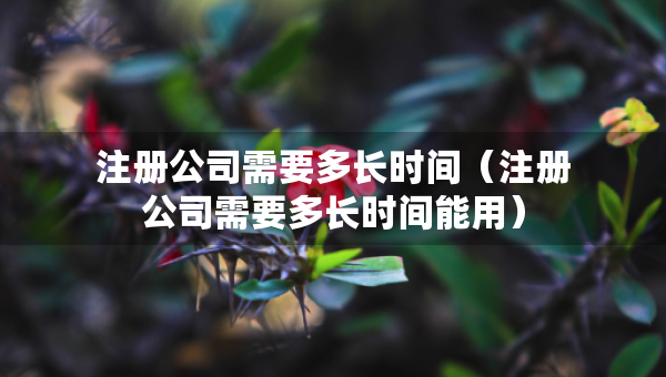 注冊(cè)公司需要多長(zhǎng)時(shí)間（注冊(cè)公司需要多長(zhǎng)時(shí)間能用）