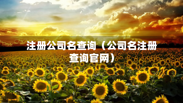 注冊公司名查詢（公司名注冊查詢官網(wǎng)）