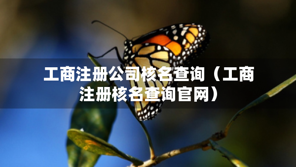 工商注冊公司核名查詢（工商注冊核名查詢官網(wǎng)）