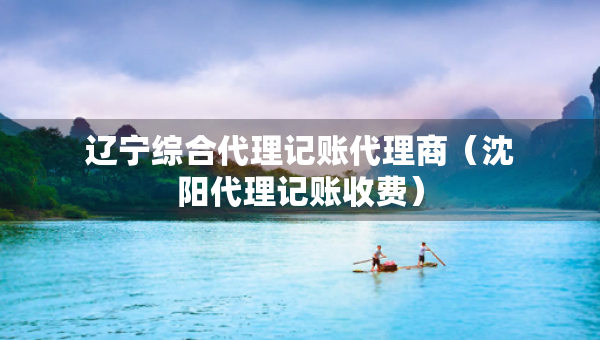 遼寧綜合代理記賬代理商（沈陽代理記賬收費）