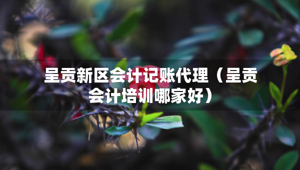 呈貢新區(qū)會(huì)計(jì)記賬代理（呈貢會(huì)計(jì)培訓(xùn)哪家好）