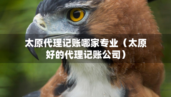 太原代理記賬哪家專業(yè)（太原好的代理記賬公司）