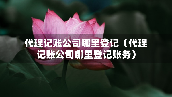 代理記賬公司哪里登記（代理記賬公司哪里登記賬務）