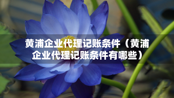 黃浦企業(yè)代理記賬條件（黃浦企業(yè)代理記賬條件有哪些）