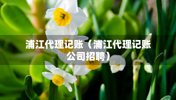 浦江代理記賬（浦江代理記賬公司招聘）