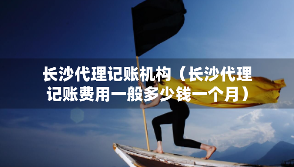長沙代理記賬機構(gòu)（長沙代理記賬費用一般多少錢一個月）