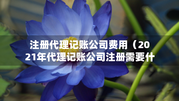 注冊代理記賬公司費用（2021年代理記賬公司注冊需要什么條件）