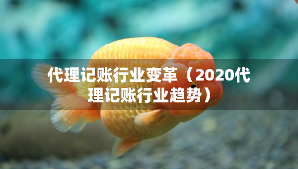 代理記賬行業(yè)變革（2020代理記賬行業(yè)趨勢）