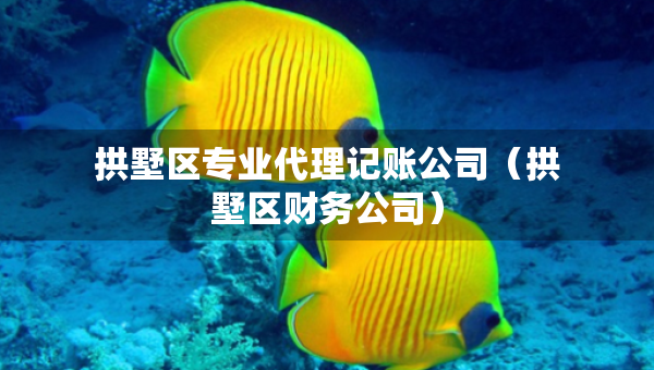 拱墅區(qū)專業(yè)代理記賬公司（拱墅區(qū)財(cái)務(wù)公司）