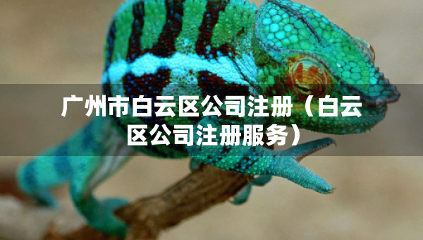 廣州市白云區(qū)公司注冊（白云區(qū)公司注冊服務(wù)）