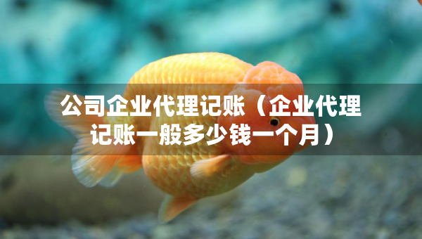 公司企業(yè)代理記賬（企業(yè)代理記賬一般多少錢一個(gè)月）