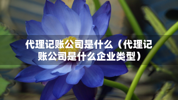 代理記賬公司是什么（代理記賬公司是什么企業(yè)類型）