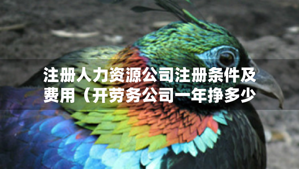 注冊人力資源公司注冊條件及費用（開勞務(wù)公司一年掙多少）