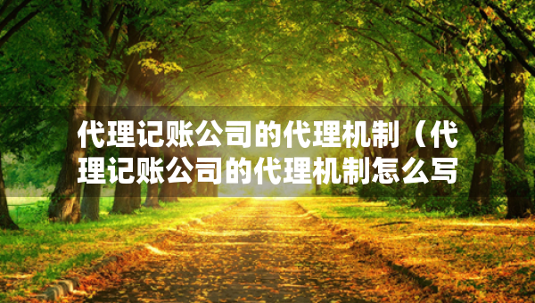 代理記賬公司的代理機(jī)制（代理記賬公司的代理機(jī)制怎么寫）