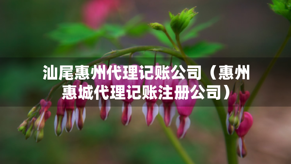 汕尾惠州代理記賬公司（惠州惠城代理記賬注冊(cè)公司）