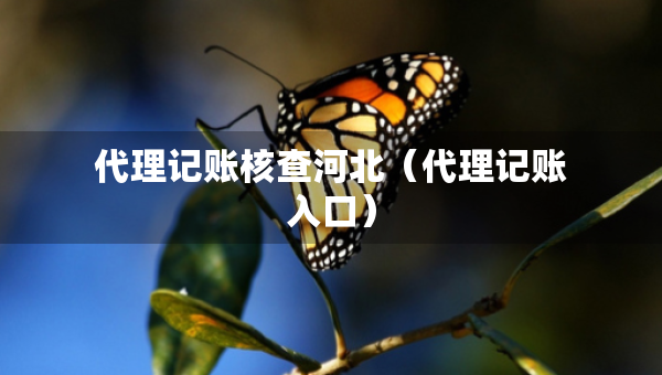 代理記賬核查河北（代理記賬入口）