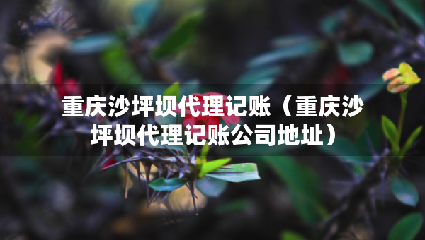 重慶沙坪壩代理記賬（重慶沙坪壩代理記賬公司地址）