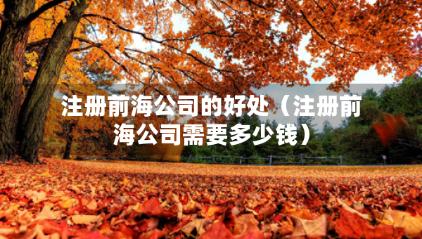 注冊前海公司的好處（注冊前海公司需要多少錢）