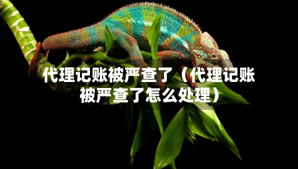代理記賬被嚴(yán)查了（代理記賬被嚴(yán)查了怎么處理）