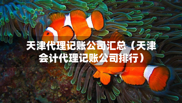 天津代理記賬公司匯總（天津會計(jì)代理記賬公司排行）