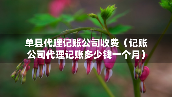 單縣代理記賬公司收費(fèi)（記賬公司代理記賬多少錢一個(gè)月）