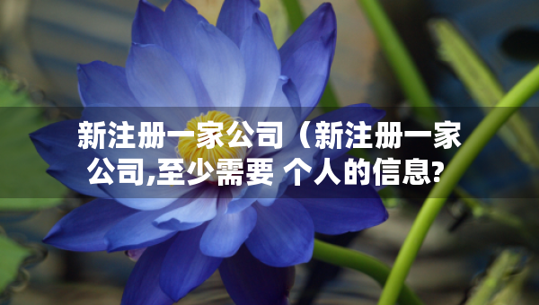新注冊一家公司（新注冊一家公司,至少需要 個人的信息? ）