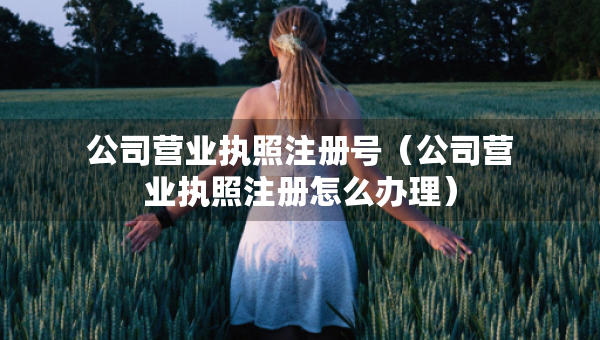 公司營業(yè)執(zhí)照注冊號（公司營業(yè)執(zhí)照注冊怎么辦理）