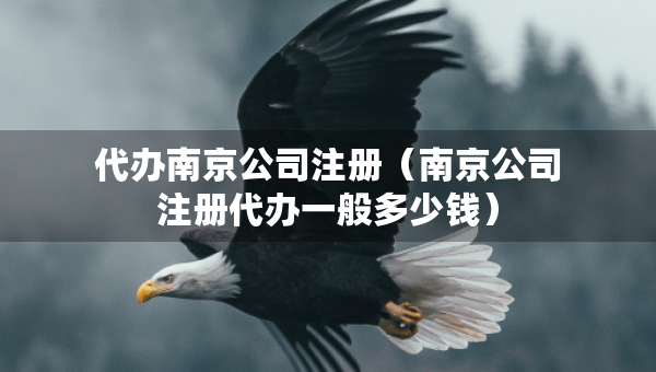 代辦南京公司注冊(cè)（南京公司注冊(cè)代辦一般多少錢）